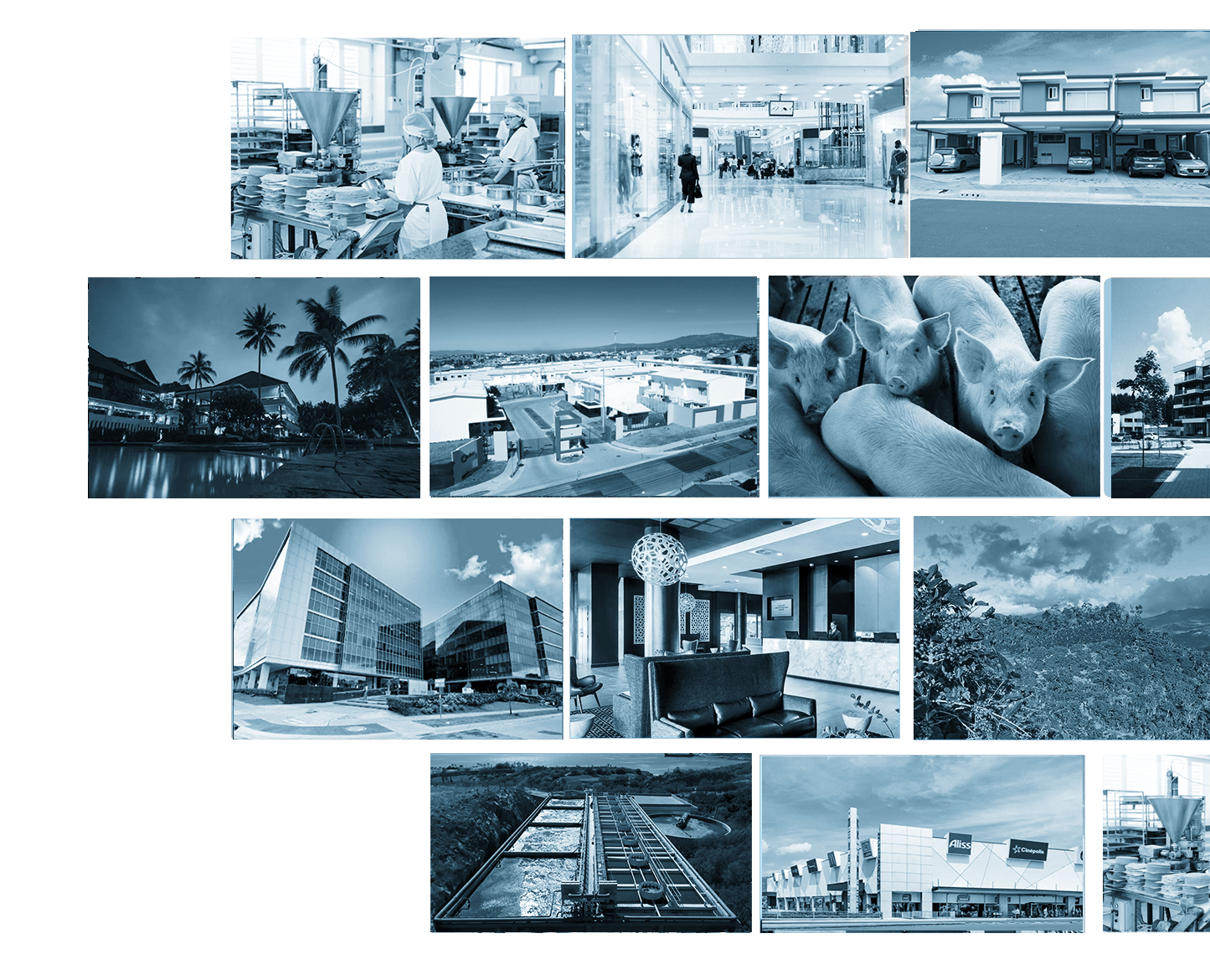 AquaEcoSolutions